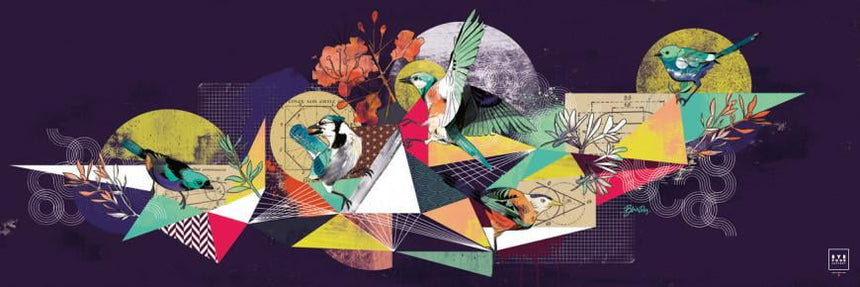 Birds Illogic - Éditions Limitées - Animal, Offline, Oiseau, Oiseaux, Plume