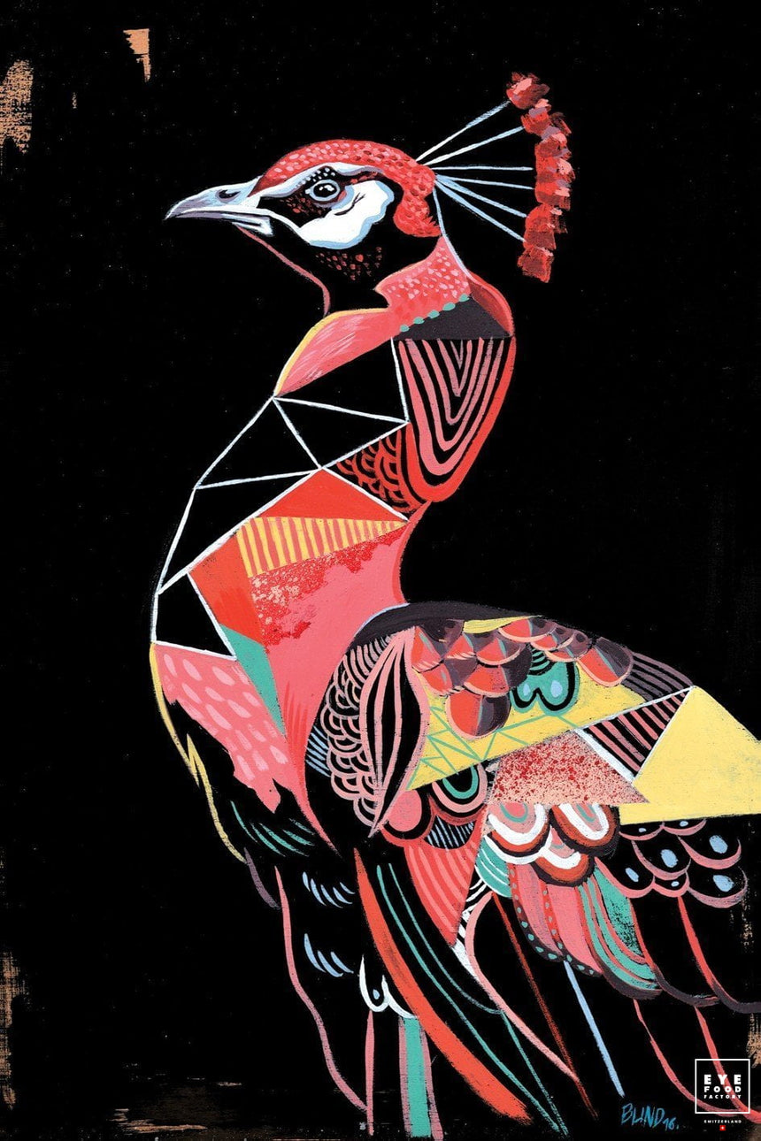 Pinky Peacock - Éditions Limitées - Animal, BEST DEAL, Nature, Offline, Oiseau