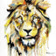 Look at me - Éditions Limitées - Animal, Jungle, Lion, Lionceau, Lionne